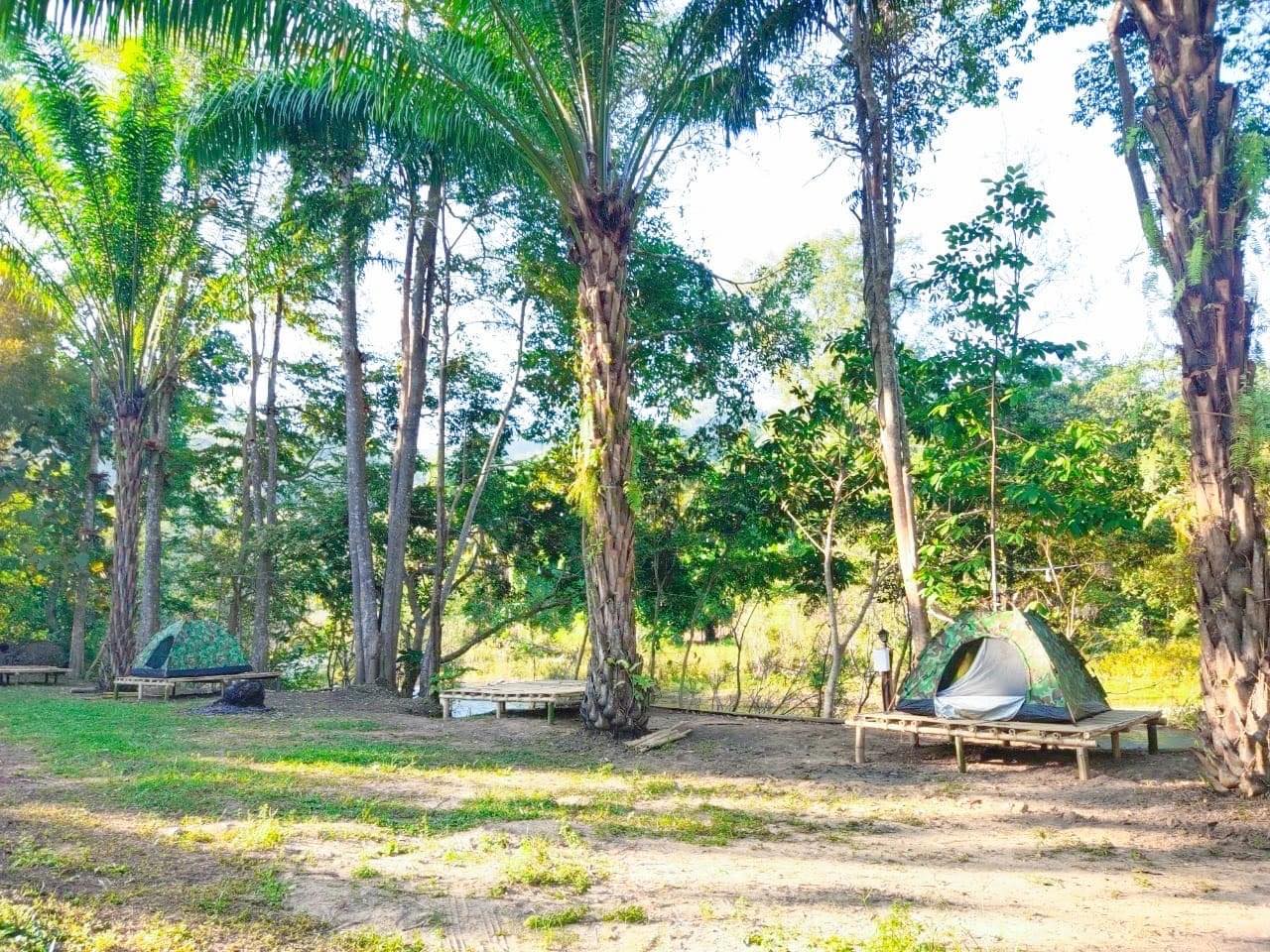 รูป วนารี Camping Wanari Camping