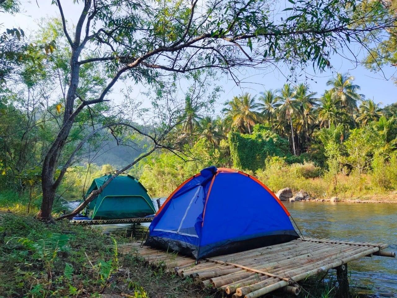 รูป วนารี Camping Wanari Camping